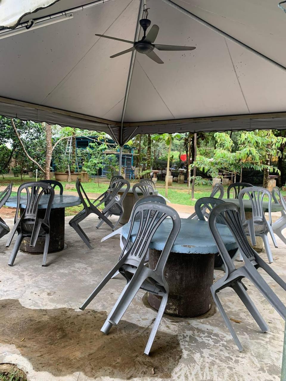 Bb Durio Chalet Kuala Terengganu Dış mekan fotoğraf