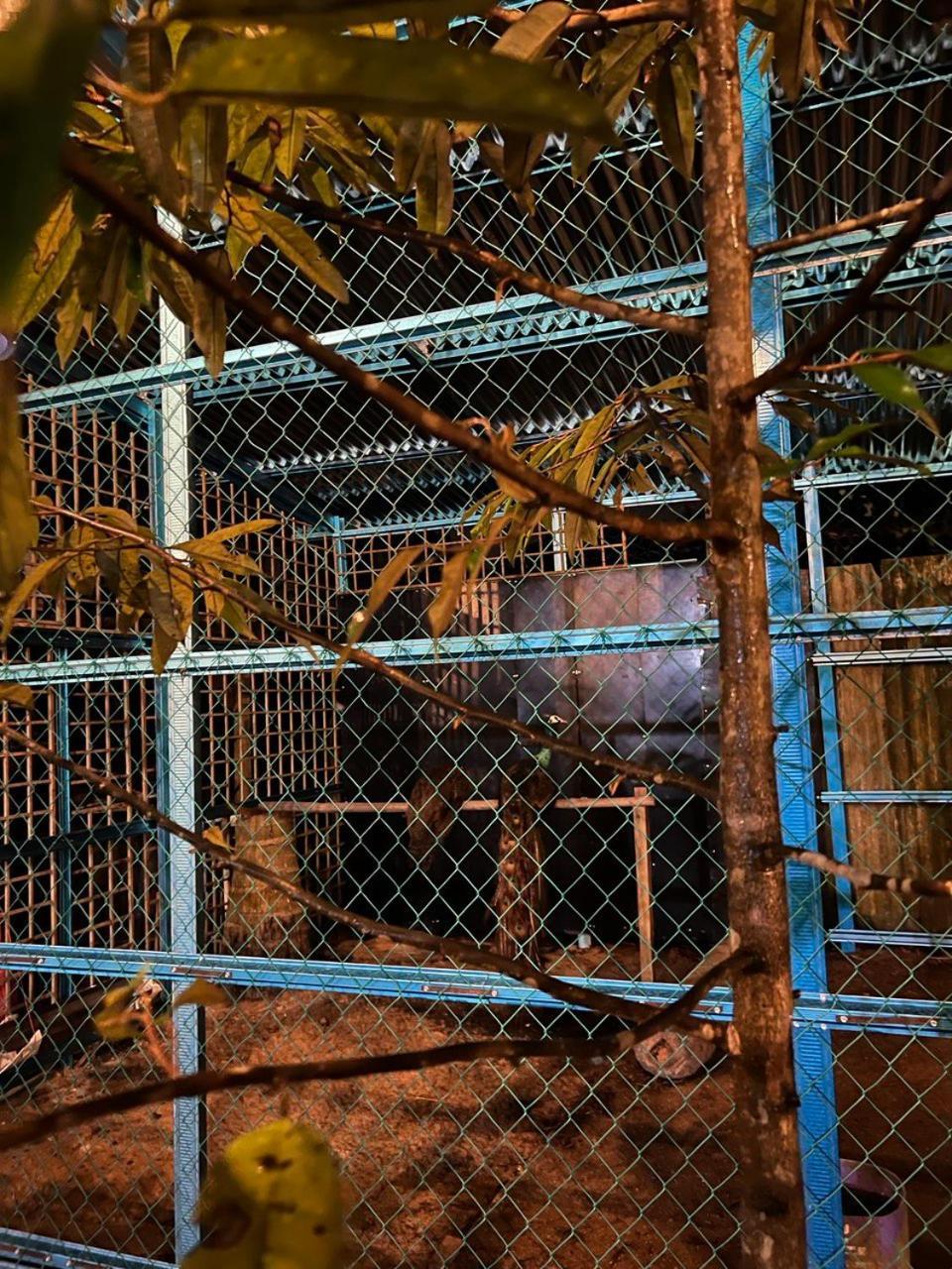 Bb Durio Chalet Kuala Terengganu Dış mekan fotoğraf